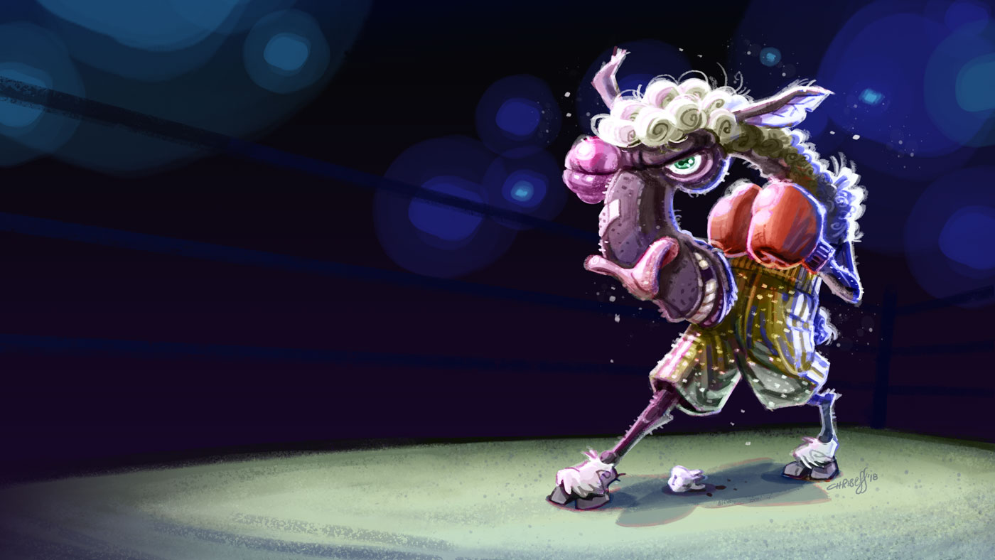 character design of boxing sheep - christian effenberger