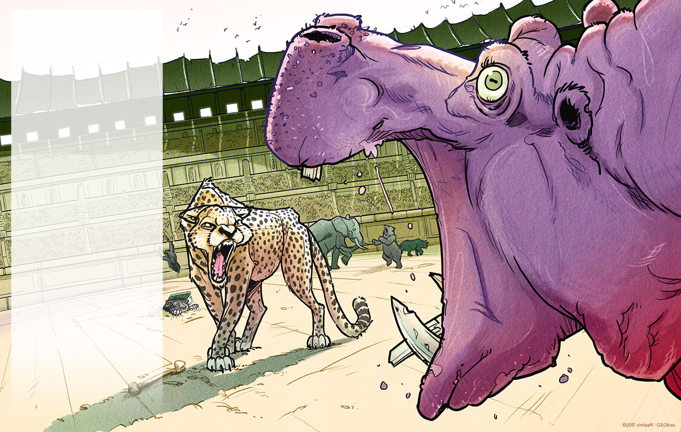 editorial illustration kolosseum with hippo vs cheetah for geolino - christian effenberger